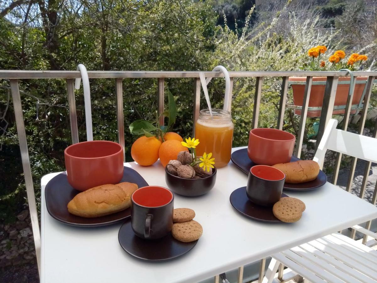 Vila Casa Vacanze Irmino Garden Ragusa Exteriér fotografie